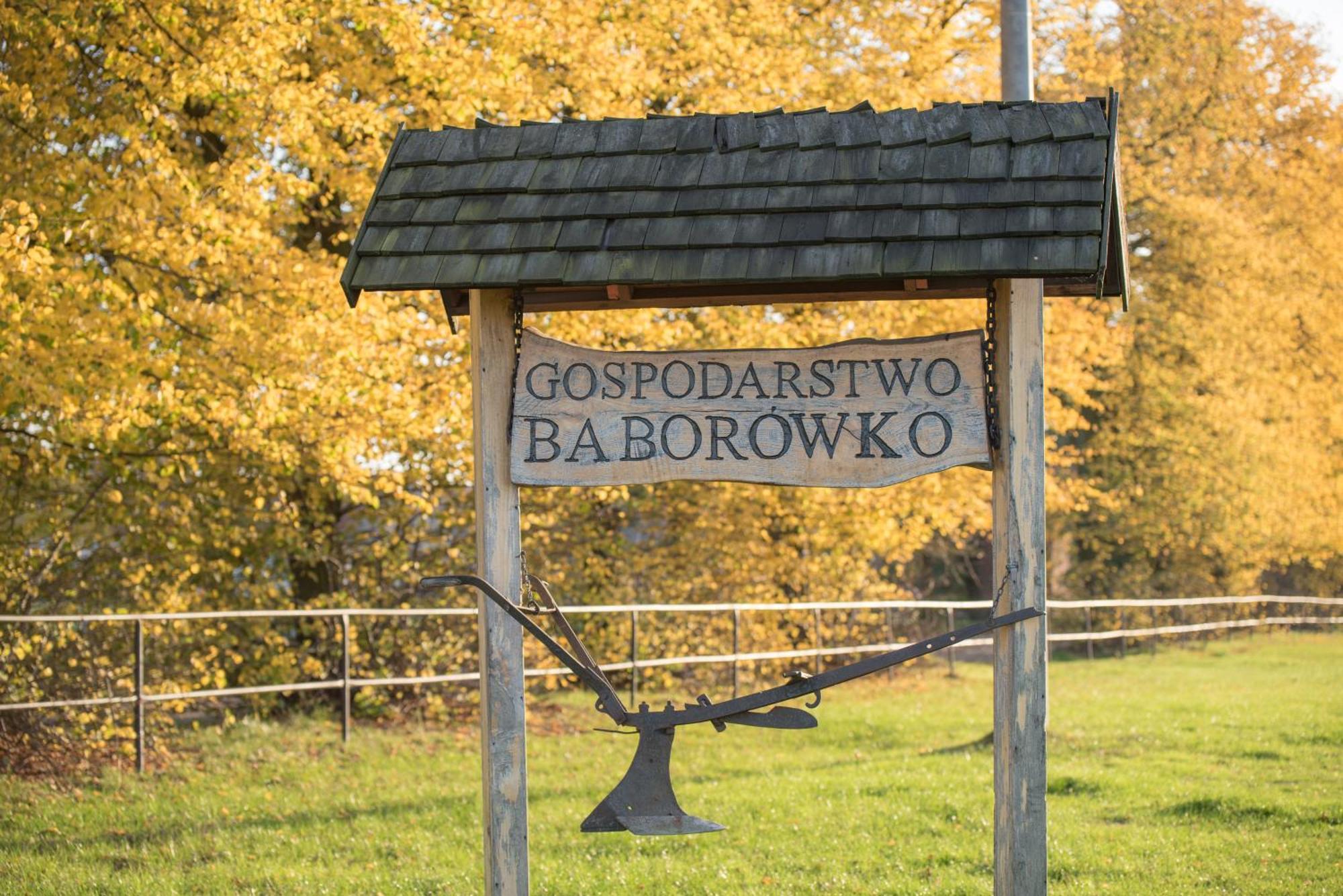 Szamotuły Palac Baborowko מראה חיצוני תמונה
